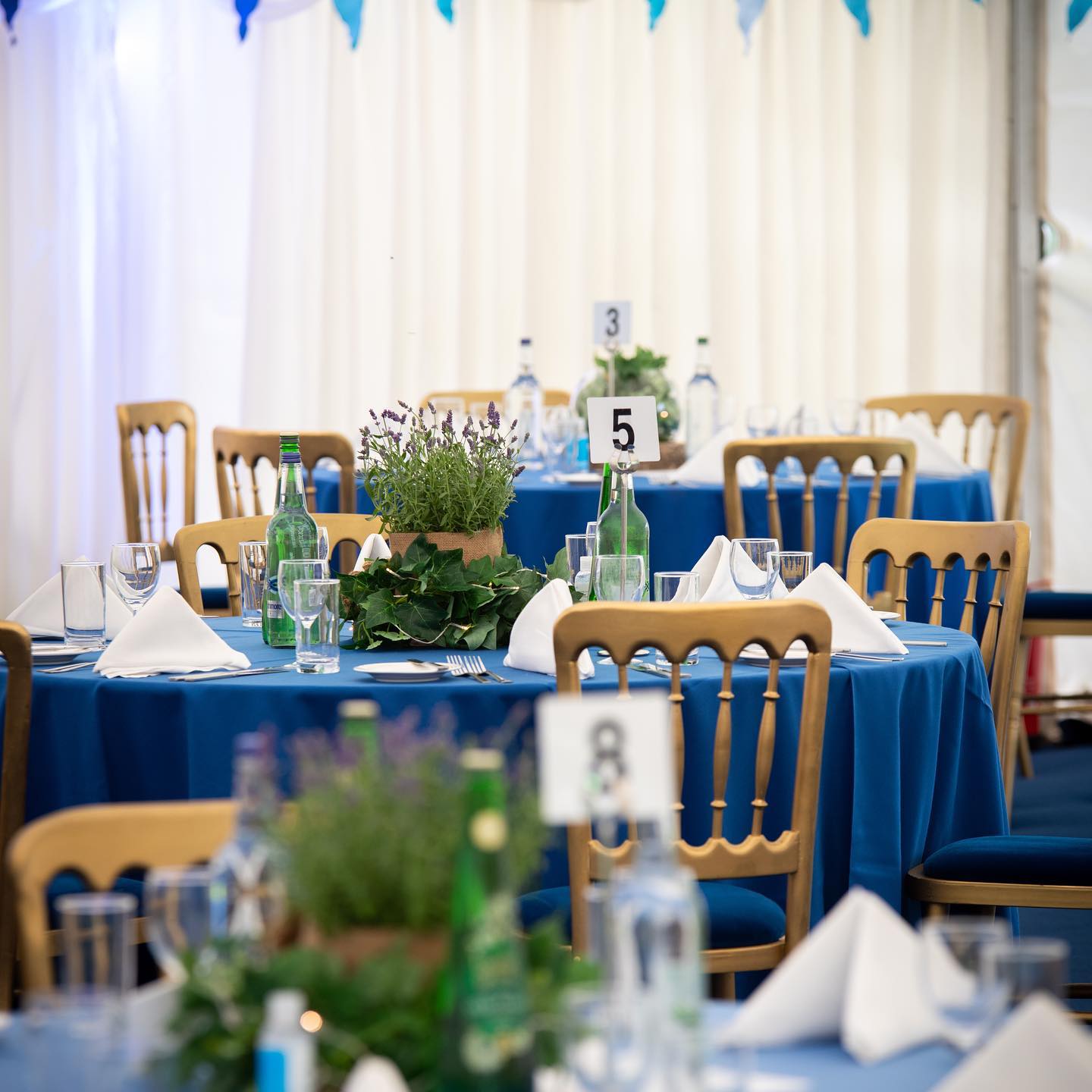 School Leavers Marquee Celebration, tables with blue linens and plants